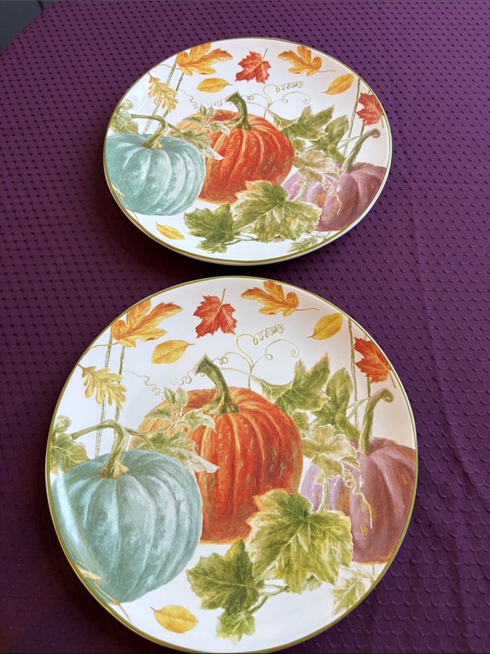 NWT Certified International “Autumn Harvest”Dinner Plates - Set of 2